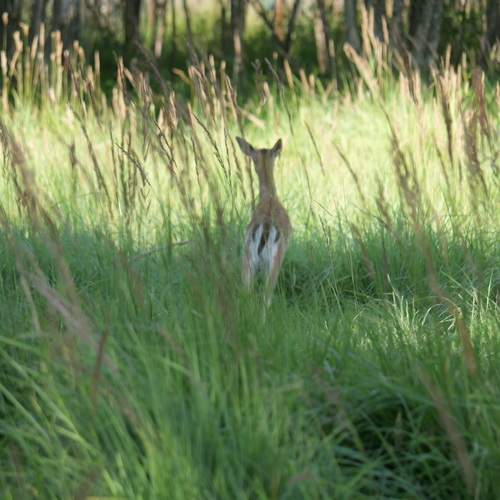Photo #12365479