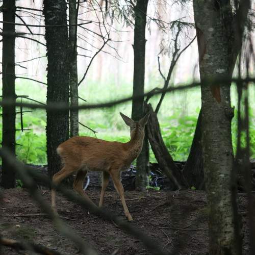 Photo #12365480