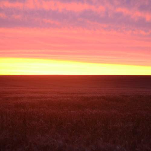 Photo #12365777