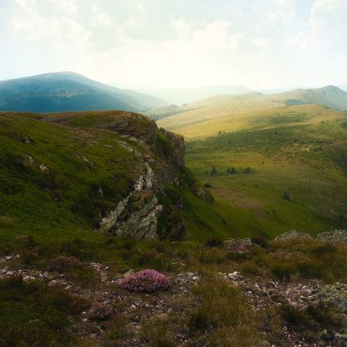 Photo #12365799