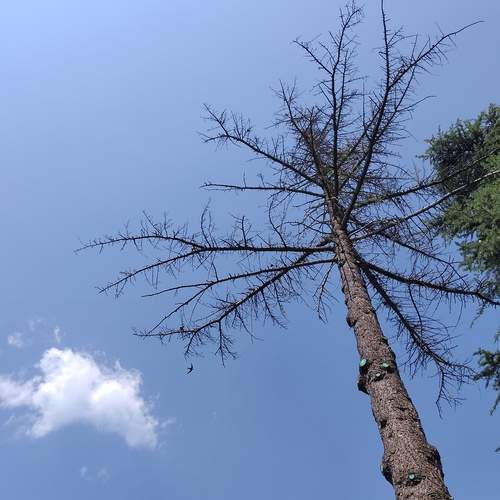 Photo #12365823