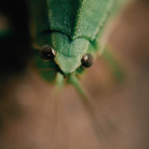 Photo #12365844