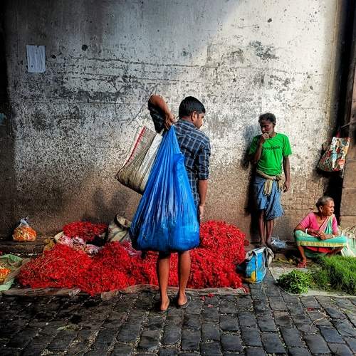 Photo #12366048