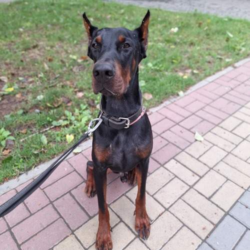 Photo #12366161