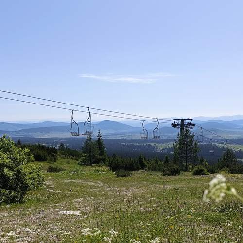 Photo #12366312