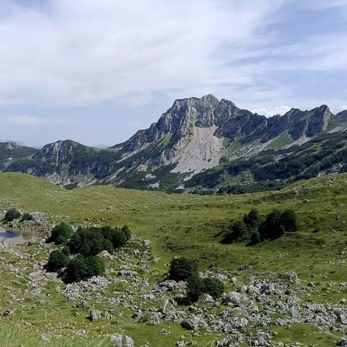 Photo #12366314