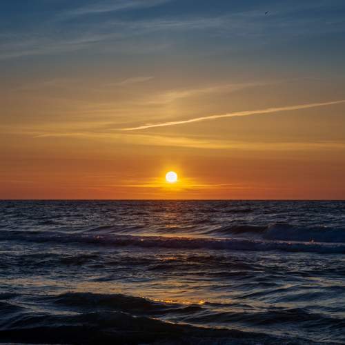Photo #12366842