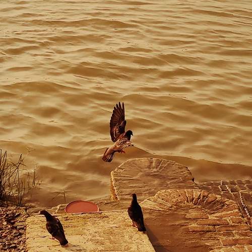 Photo #12367303