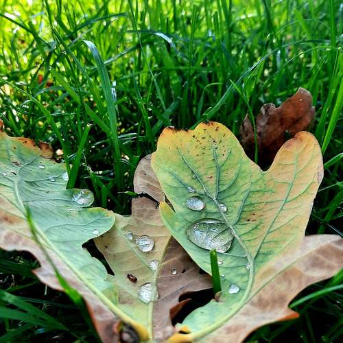 Photo #12367405