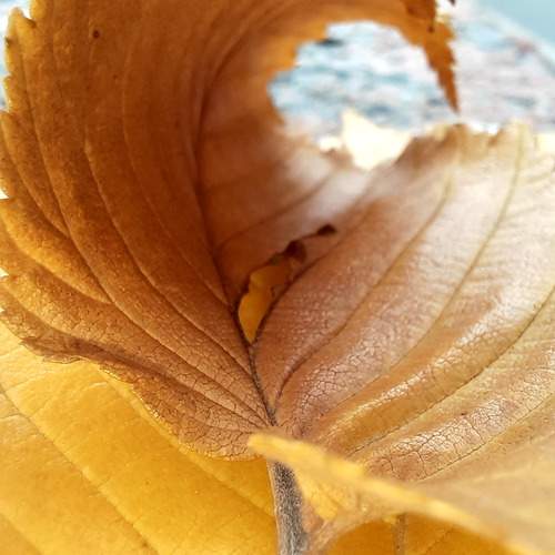 Photo #12367406