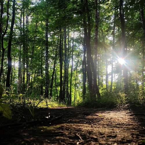 Photo #12367972