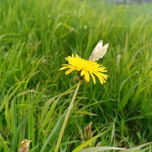 Photo #12368153