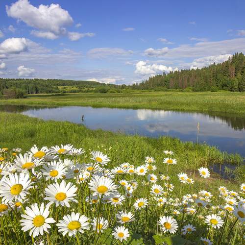 Photo #12368655