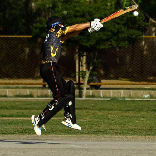 Photo #12368685
