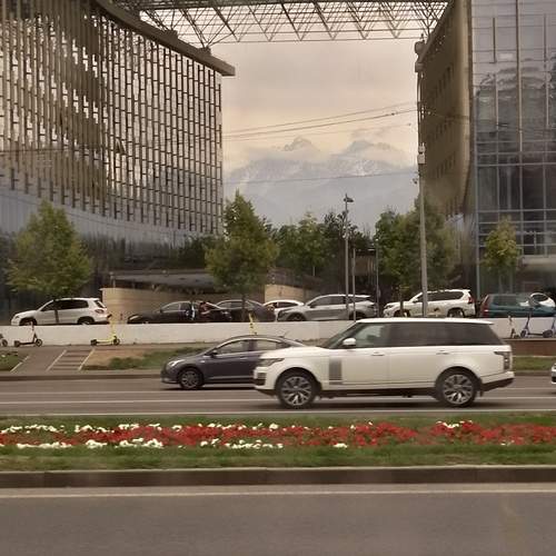 Photo #12368719