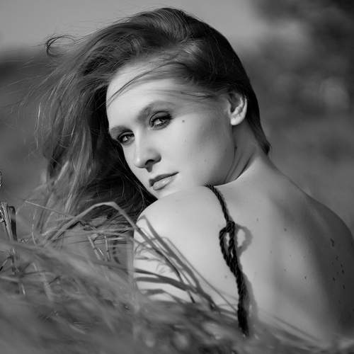 Photo #12368977