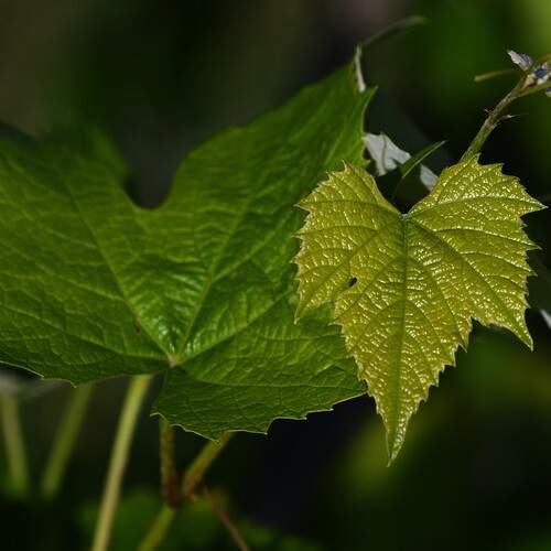 Photo #12369098