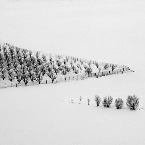 Photo #12369313
