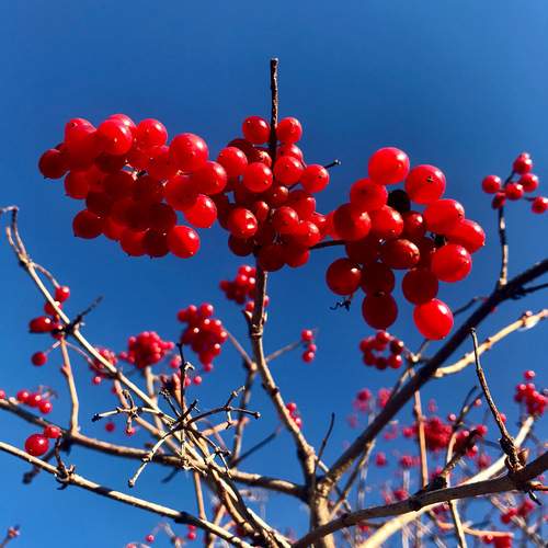 Photo #12369414