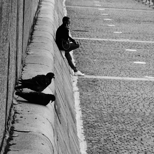 Photo #12369507