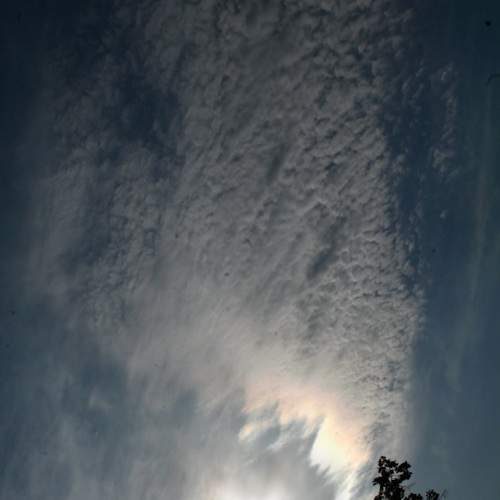 Photo #12369525