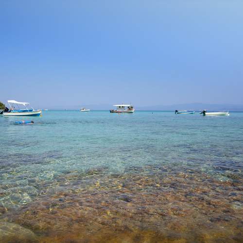 Photo #12369645