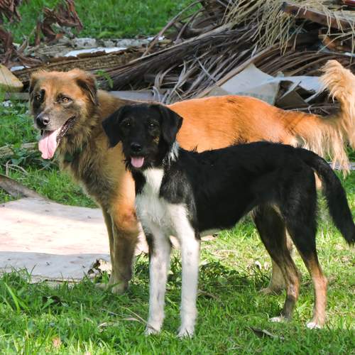 Photo #12369767