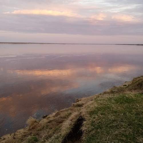 Photo #12369977