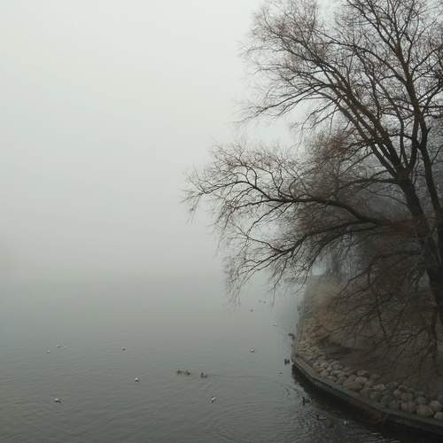 Photo #12370033