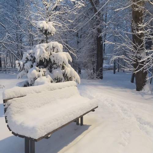 Photo #12370088