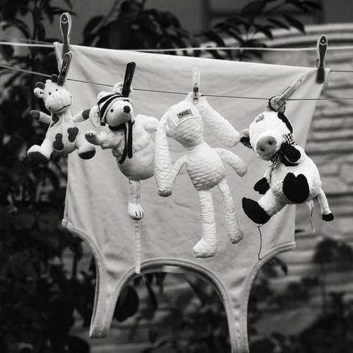 Photo #12370252