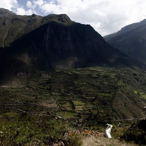 Photo #12370673