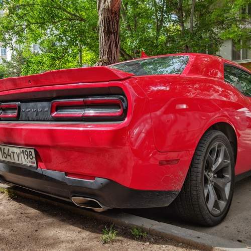 Photo #12370823