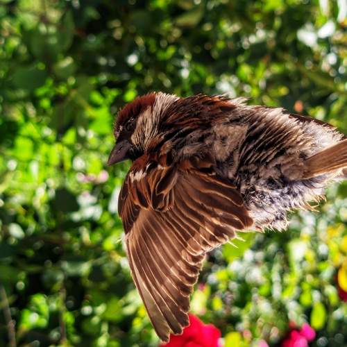 Photo #12370825