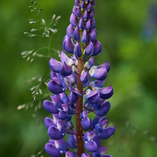 Photo #12371591