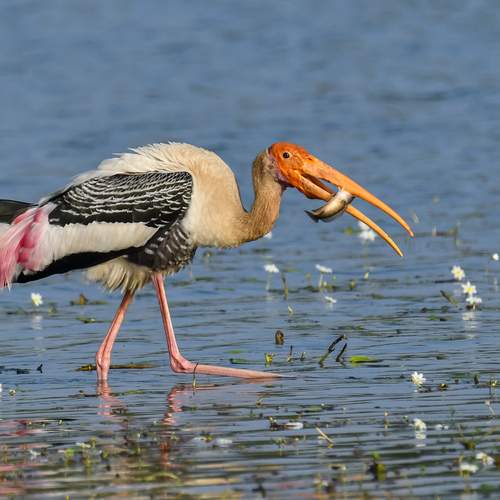 Фотография #12372206