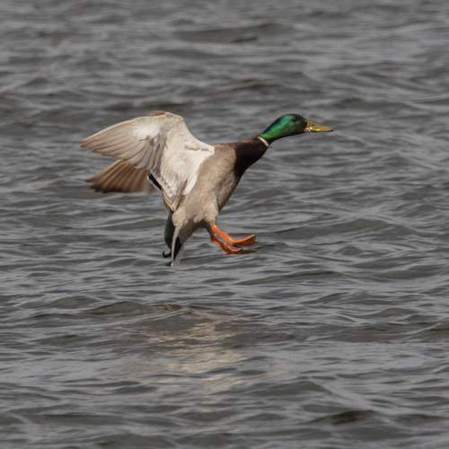 Photo #12372376