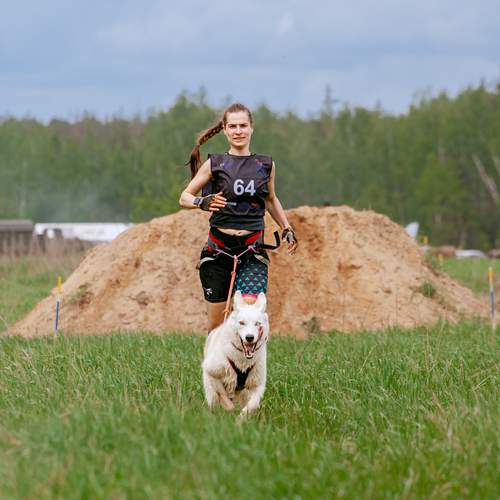 Photo #12372415