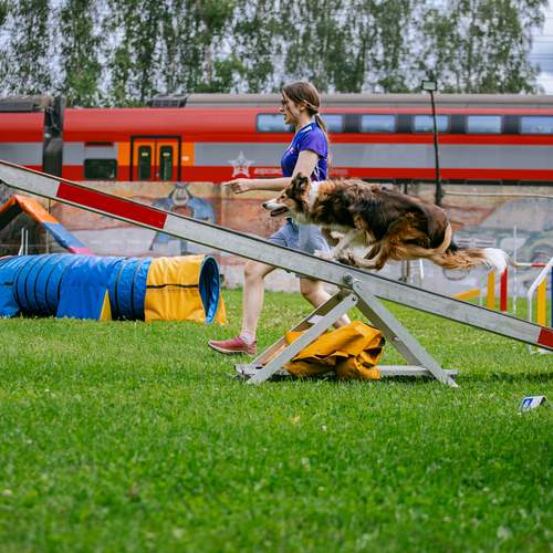 Photo #12372417