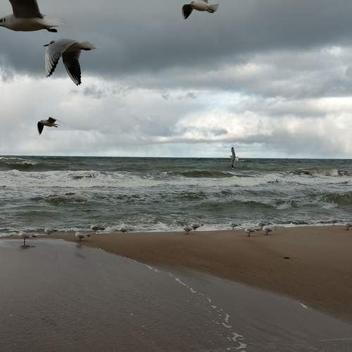 Photo #12372787