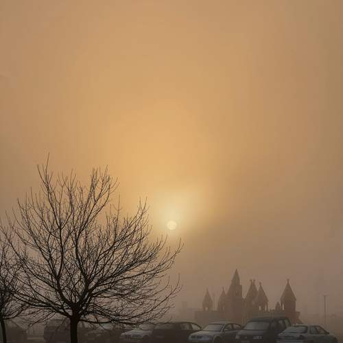 Photo #12372898