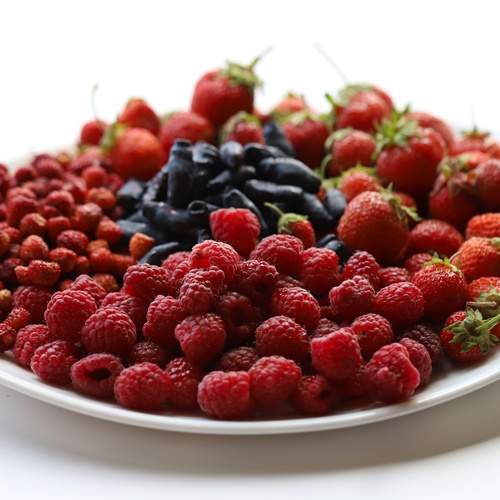 Photo #12373468