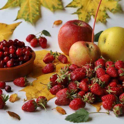 Photo #12373475