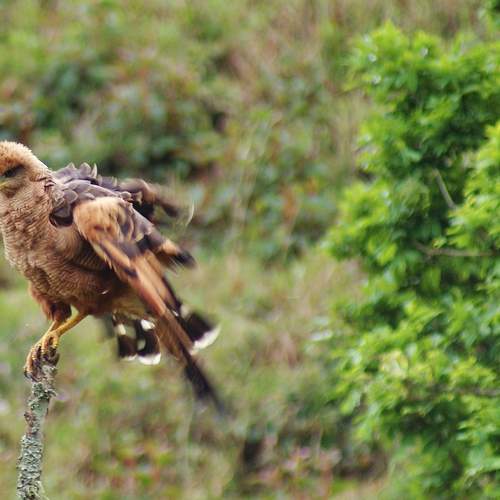 Photo #12373594