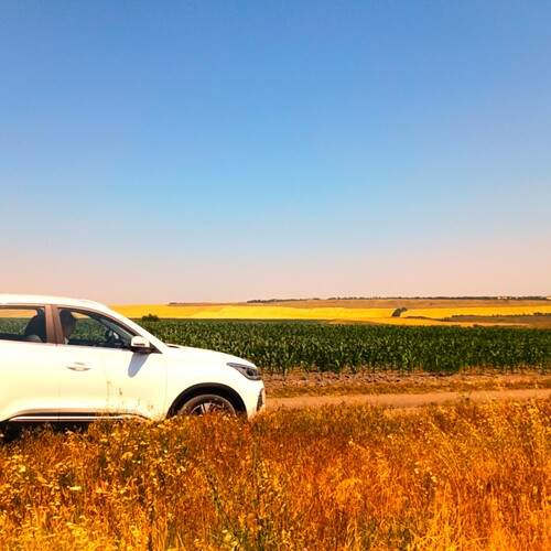 Photo #12373957