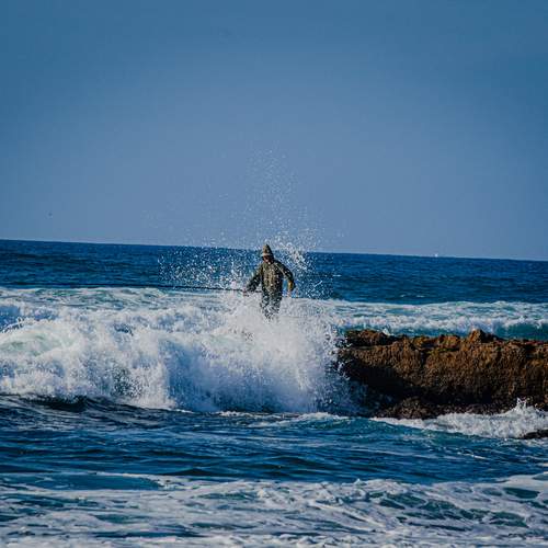 Фотография #12374269