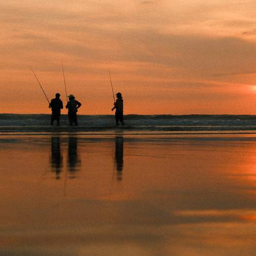 Photo #12374276