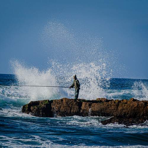 Фотография #12374278