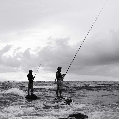 Photo #12374279