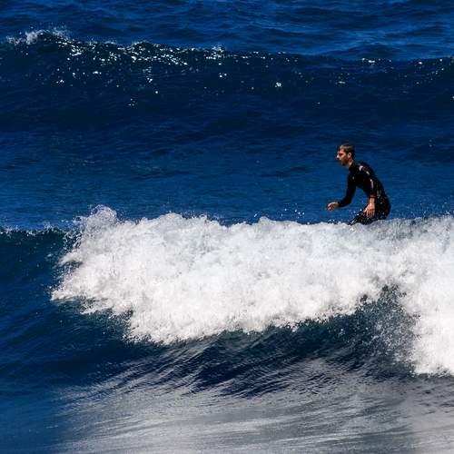 Photo #12374290